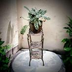 Plantentafel - Messing, Antiek en Kunst, Curiosa en Brocante