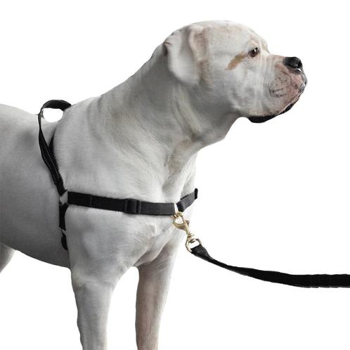 Anti trektuig voor honden merk maZter (Zterk, tuig hond), Dieren en Toebehoren, Hondenriemen, Hondenriem, Nieuw, Verzenden