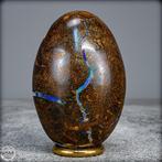Natuurlijk Australische Boulder Opal in moedergesteente - Ei