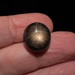 Zonder minimumprijs - 1 pcs Stersaffier - 20.44 ct - Geen