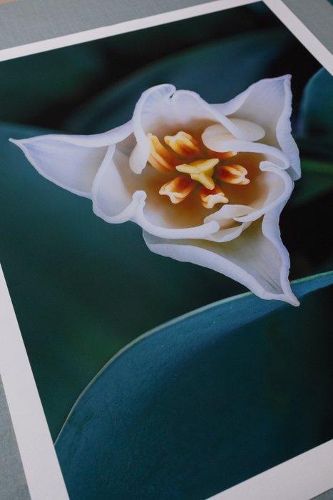 Inna Etuvgi - Trinity, Antiek en Kunst, Kunst | Designobjecten