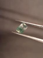 Natural Faceted Agate - Green Moss Agate - 0.482 ct - octago, Verzenden, Nieuw