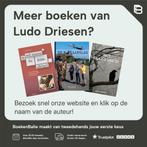 Vlinders in de buik 9789044130980 Ludo Driesen, Boeken, Verzenden, Zo goed als nieuw, Ludo Driesen
