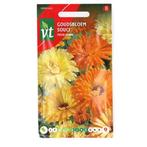 Goudsbloem | VT, Tuin en Terras, Verzenden