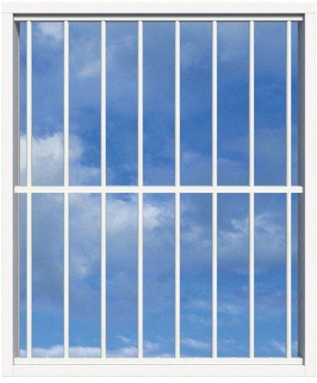 SecuBar Lichtkoepelbeveiliging Fix & Go - 8 spijls 1500x2000, Doe-het-zelf en Verbouw, Hang- en Sluitwerk, Nieuw, Ophalen of Verzenden