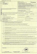 Cotton top Tamarin - Taxidermie volledige montage - Saguinus, Verzamelen, Nieuw