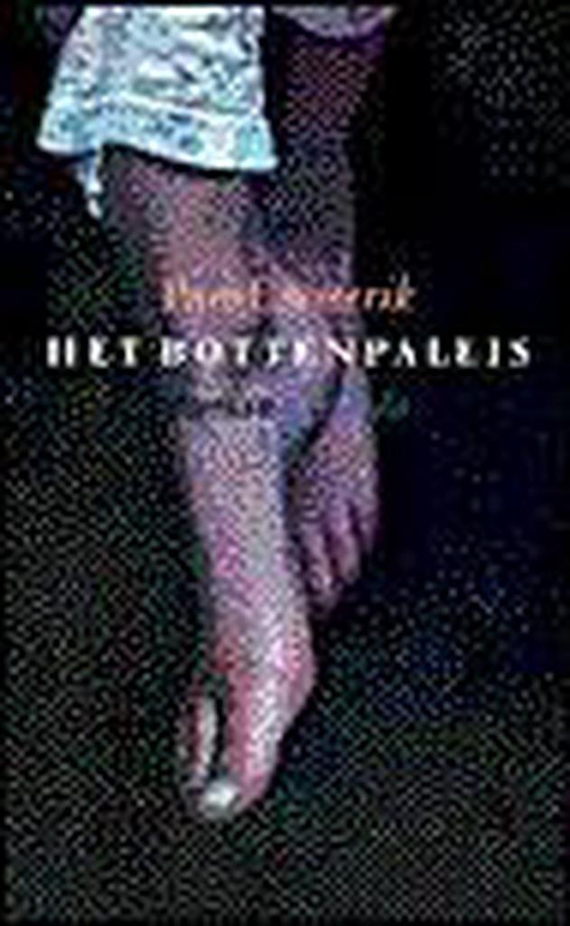 Het bottenpaleis 9789021461540 P. Emmerik, Boeken, Romans, Gelezen, Verzenden