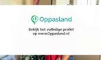 Sakandi zoekt een oppas in Nijmegen., Boeken, Nieuw