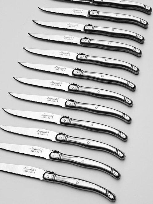 Laguiole - 12x Steak Knives - Completely Stainless Steel -, Antiek en Kunst, Antiek | Keukenbenodigdheden