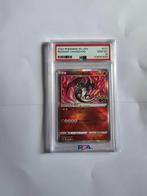 PSA - 2 Graded card - Pokémon - Charizard, Doctor - PSA 10, Nieuw