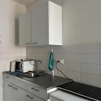 Furnished Studio met Tuin gevonden in Leiden, Huizen en Kamers, Direct bij eigenaar, Leiden, Zuid-Holland, Studio