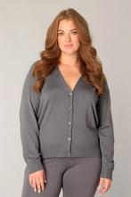 Base Level Curvy vest Yvonne Maat:, Kleding | Dames, Truien en Vesten, Verzenden, Nieuw, Overige kleuren