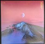 lp nieuw - Son Mieux - The Mustard Seed, Cd's en Dvd's, Vinyl | Pop, Verzenden, Zo goed als nieuw