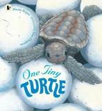 Nature storybooks: One tiny turtle by Nicola Davies, Boeken, Taal | Engels, Gelezen, Nicola Davies, Verzenden