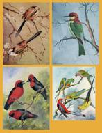 Green, Grönvold, Bennett, Henry: 20 plates from British Bird, Antiek en Kunst