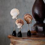 Indrukwekkende set van 3 scallop shell op op maat gemaakte
