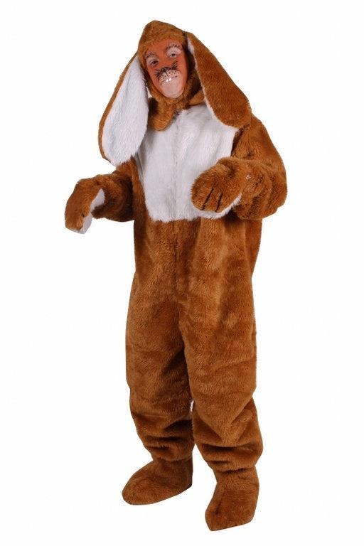 Paashaas Pak luxe met Hangoren, Diversen, Pasen, Verzenden