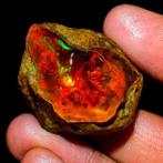 Opaal En bruto de multicolor vuur 62,5Ct – Natuurlijke
