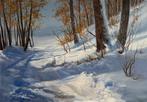 Emre Kinali - Snowy path