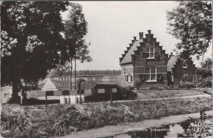 LINSCHOTEN - Schapenlaan, Verzamelen, Ansichtkaarten | Nederland, Verzenden