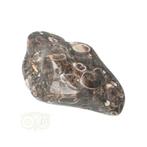 Turitella Agaat trommelsteen Nr 35 - 30 gram, Verzenden, Nieuw