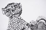 Ambra Grassi - Disrupting the unconscious