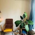 kamer in Amsterdam gevonden voor €750,- pm, Amsterdam