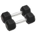 vidaXL Halters 2 st 12 kg gietijzer, Verzenden, Nieuw