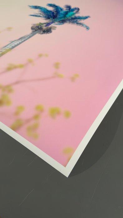 Téber - Aquamint Palm · XL, Antiek en Kunst, Kunst | Designobjecten
