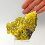 Rarissima Smithsonite gialla mammellonare, Sardegna, Verzamelen, Mineralen en Fossielen