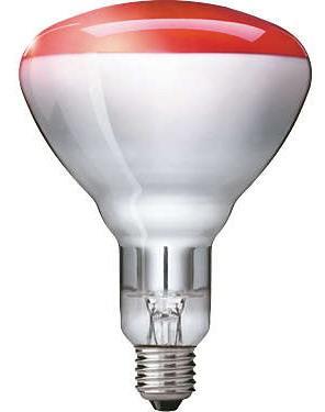 Philips Infraroodlamp E27 150W Rood warmtelamp Ø12.5cm BR12, Huis en Inrichting, Lampen | Plafondlampen, Nieuw, Ophalen of Verzenden