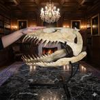 Plesiosaurus - Fossiele schedel - Zarafasaura oceanis - 49