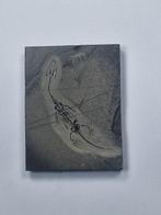 Vis - Gefossiliseerd dier - Keichousaurus - 7.7 cm, Verzamelen