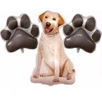 Honden ballonnen set labrador 3-delig, Dieren en Toebehoren, Verzenden, Nieuw