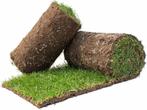 online graszoden bestellen  | graszoden geleverd aan huis, Tuin en Terras, Gras en Kunstgras, Nieuw, 20 m² of meer, Gras