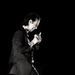 Roberto Cavalli (1971) - Nick Cave, Into My Arms / #515 - no