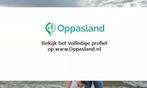 Rostyslav zoekt een oppas in Gouda voor 2 kinderen voor 4..., Vacatures, Vacatures | Klantenservice en Callcenter