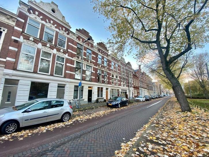 Te huur: Kamer Noordsingel in Rotterdam, Huizen en Kamers, Kamers te huur