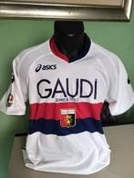 Genoa CFC - Italiaanse voetbal competitie - Emiliano Moretti, Nieuw