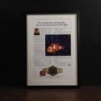 Vintage Rolex Submariner Date advertentie, Boeken, Catalogussen en Folders, Verzenden, Nieuw