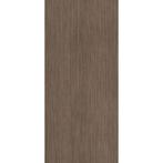 Vloertegel Douglas & Jones 120x280 cm Magnum Plank 2, Ophalen of Verzenden, Nieuw, Overige typen