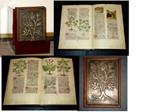 Kräuterbuch Luxusausgabe - Heilpflanzen mit Bronzeplatte -, Antiek en Kunst
