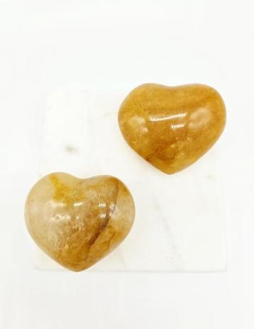 Golden Healer Hart (zie filmpje) beschikbaar voor biedingen