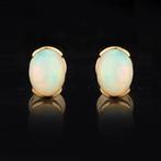 Oorbellen - 14 karaat Geel goud Opaal, Nieuw