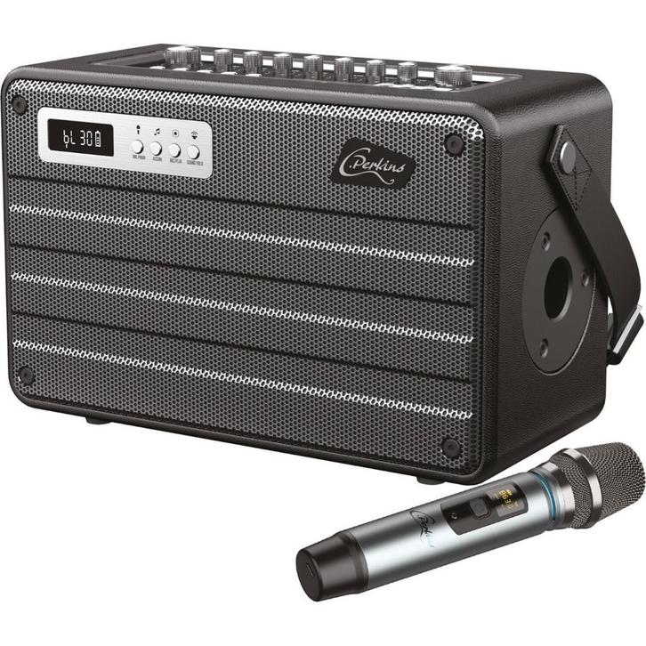 ROADY FL Draagbaar Alles In 1 Systeem Bluetooth Speaker Met, Audio, Tv en Foto, Luidsprekers, Overige typen, Nieuw, Overige merken
