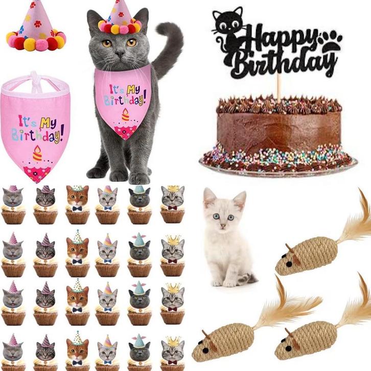 Katten verjaardags cadeau en decoratie pakket roze, Dieren en Toebehoren, Katten-accessoires, Nieuw, Verzenden