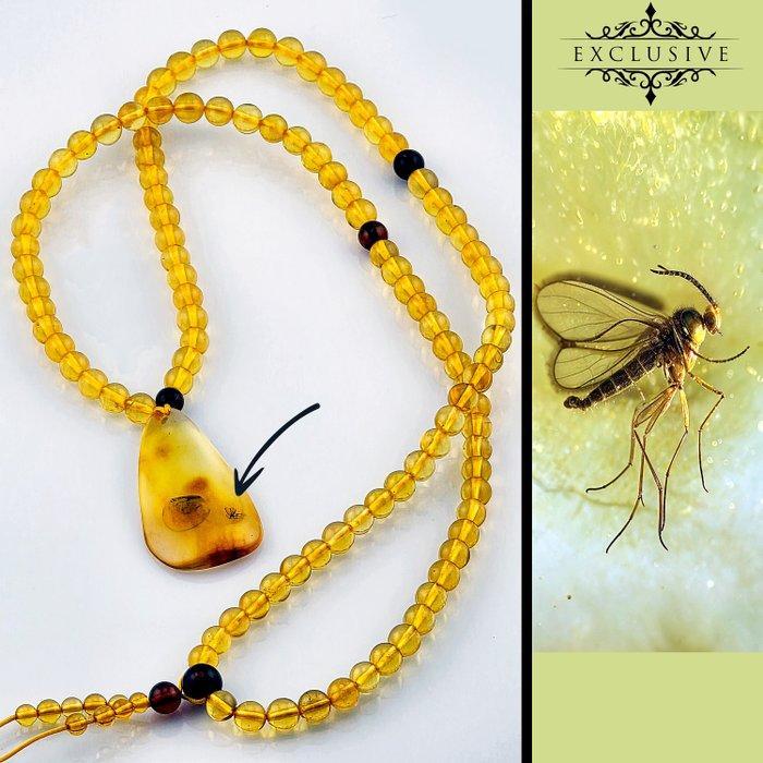 Barnsteen - Collector’s Fossil AMBER Necklace - Detailed, Antiek en Kunst, Curiosa en Brocante