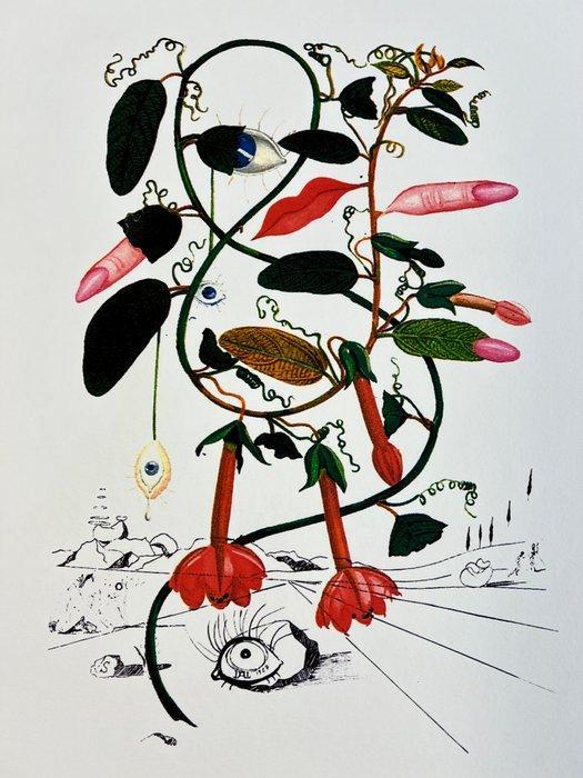 Salvador Dali (1904-1989) - Flora Sensuale, Antiek en Kunst, Antiek | Overige Antiek