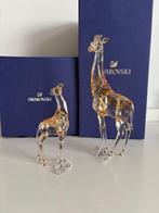 Swarovski - Figuur - Swarovski - SCS - jaarstuk Mudiwa met, Antiek en Kunst
