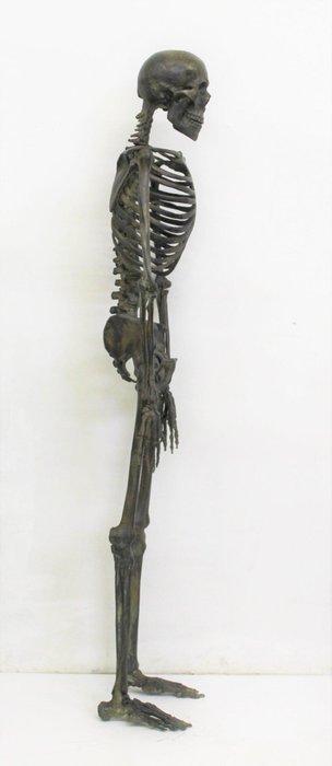 sculptuur, Scheletro in bronzo - 160 cm - Brons, Antiek en Kunst, Antiek | Keramiek en Aardewerk